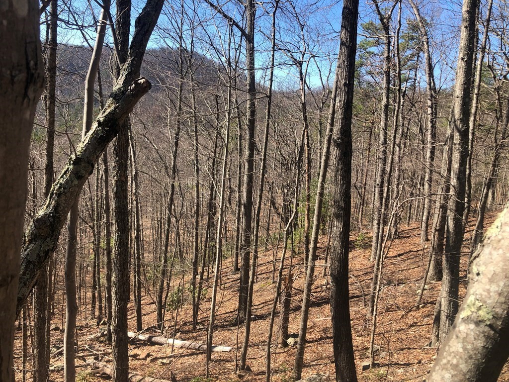 524 Allensville Road Sevierville, TN 37876 - Photo 3 of 7