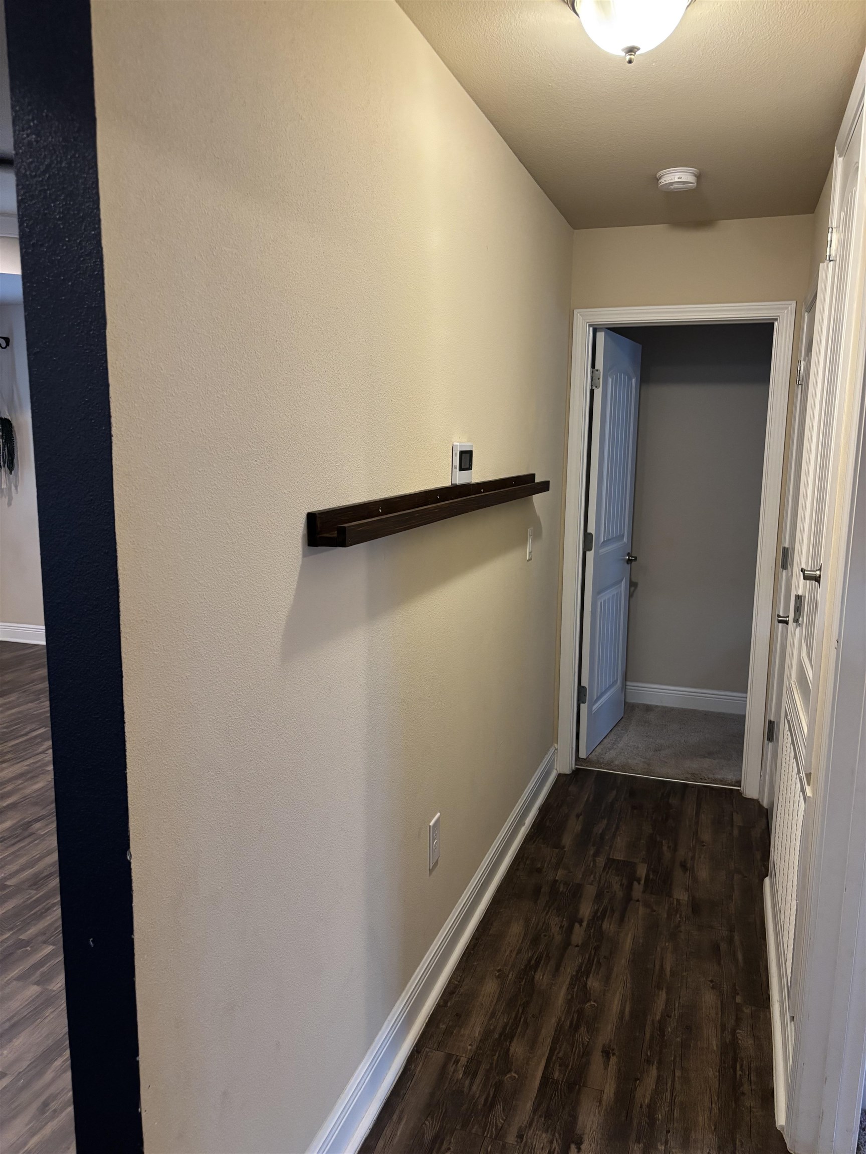 16141 Trace Drive Loxley, AL 36551 - Photo 10 of 26 Hallway