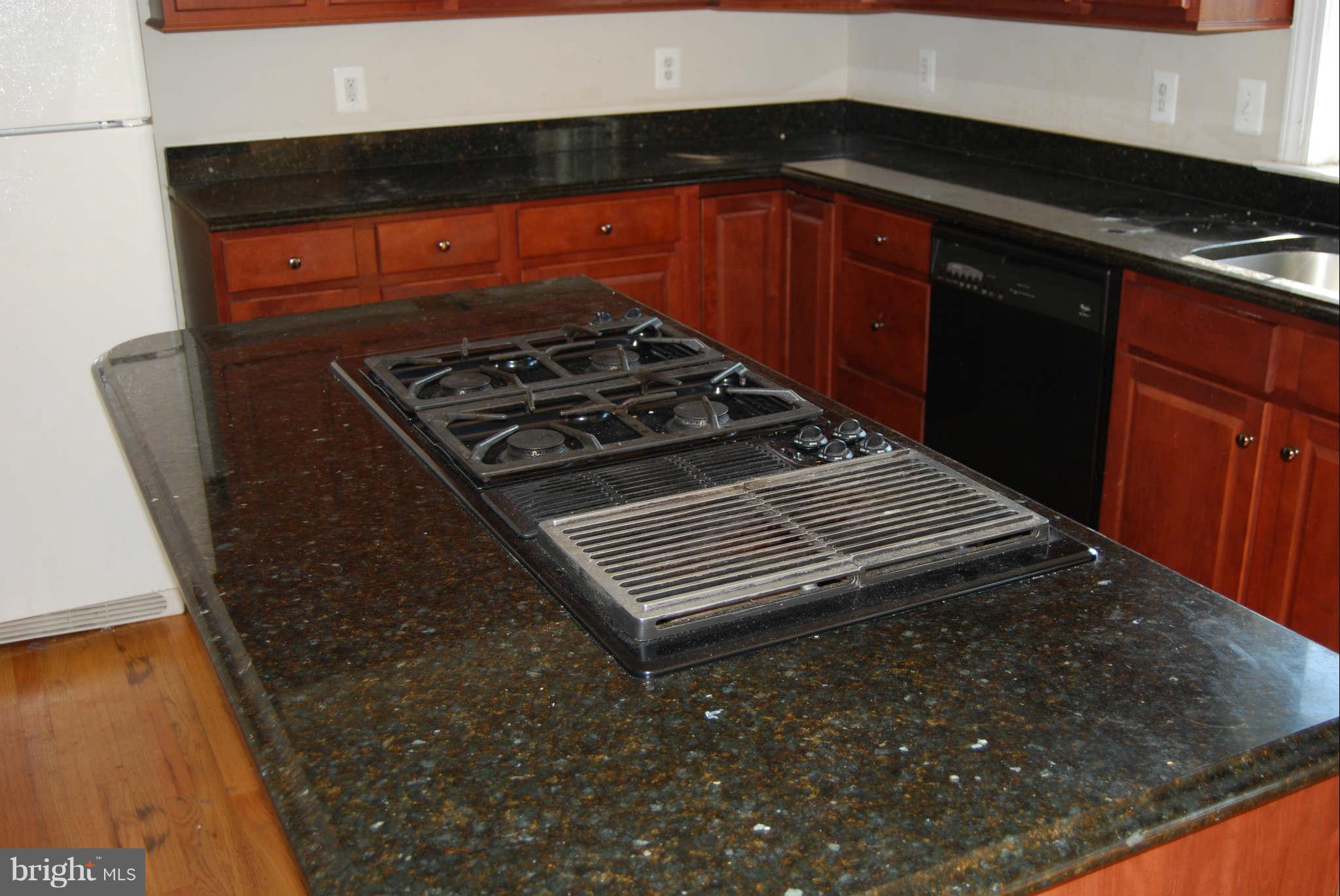 3608 Becherer Road Alexandria, VA 22309 - Photo 8 of 22 Kitchen