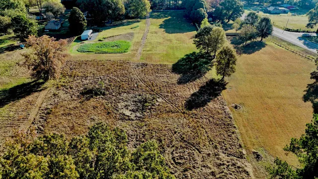 a view of a yard with plants