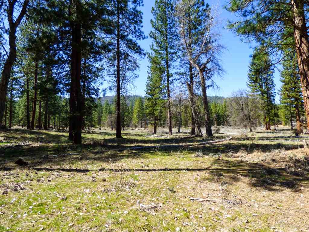 0 Culp Way Fort Jones, CA 96032 - Photo 11 of 16 Gallery Image 11