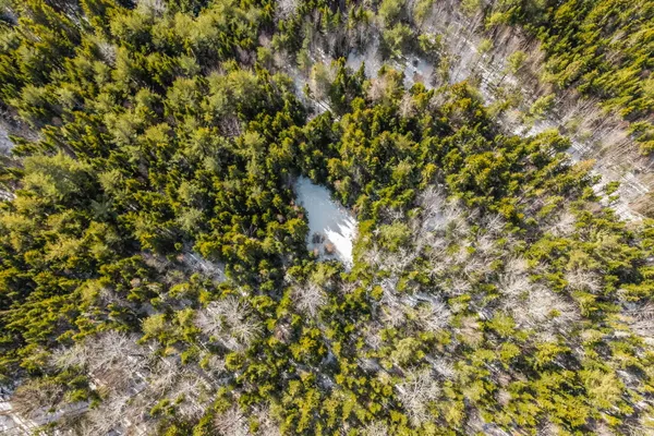 $150,000 | 12-050 Meeting House/tibbettstown Road, Columbia Falls, ME 04623