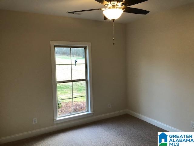 4065 Masters Road Pell City, AL 35128 - Photo 12 of 33