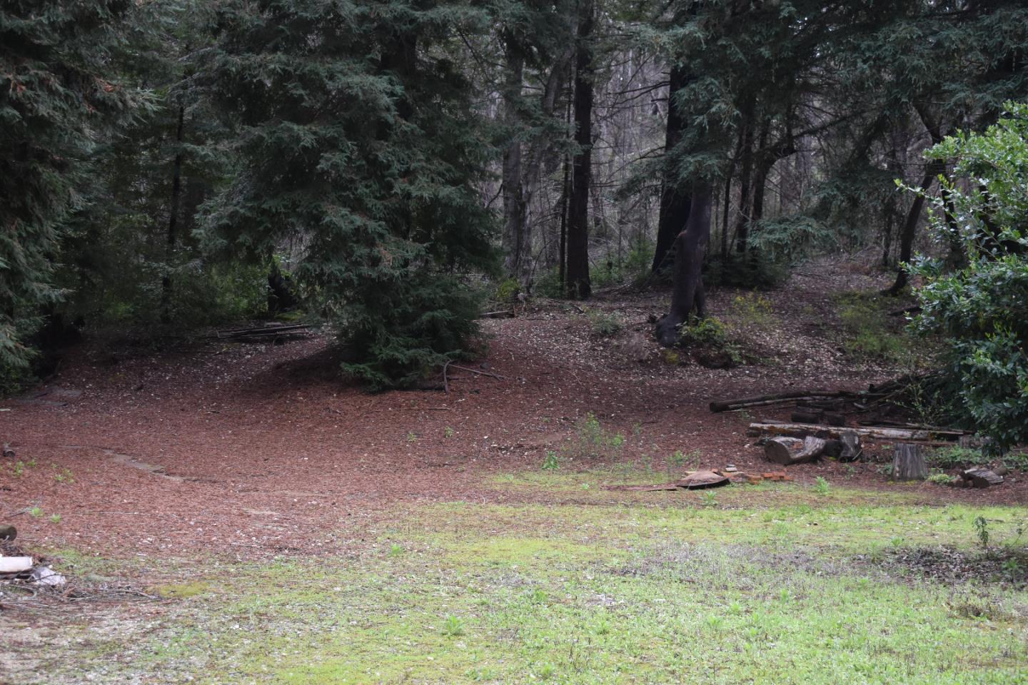 12025 Alba Road Ben Lomond, CA 95005 - Photo 12 of 17 a view of a yard with a tree