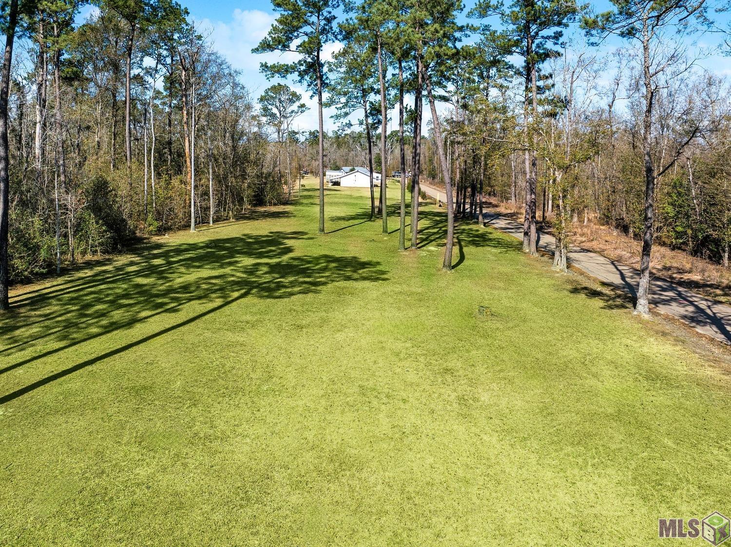 Tbd Carthage Bluff Road Springfield, LA 70462 - Photo 13 of 14