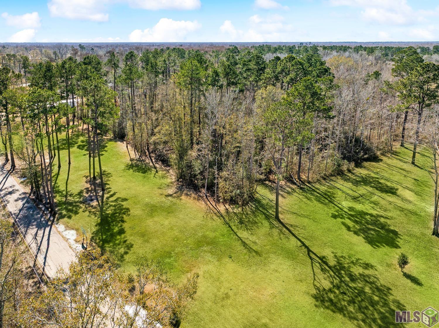 Tbd Carthage Bluff Road Springfield, LA 70462 - Photo 2 of 14