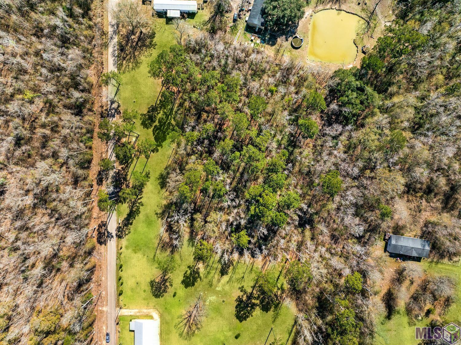 Tbd Carthage Bluff Road Springfield, LA 70462 - Photo 3 of 14