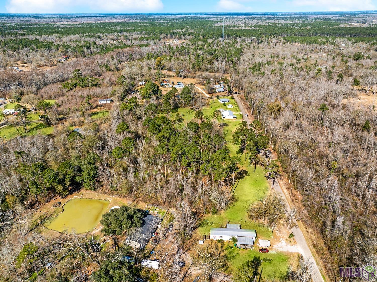 Tbd Carthage Bluff Road Springfield, LA 70462 - Photo 6 of 13