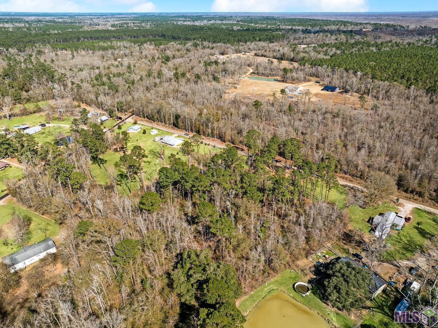 Tbd Carthage Bluff Road Springfield, LA 70462 - Photo 8 of 14