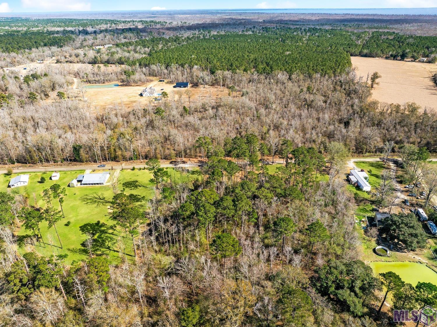 Tbd Carthage Bluff Road Springfield, LA 70462 - Photo 9 of 14