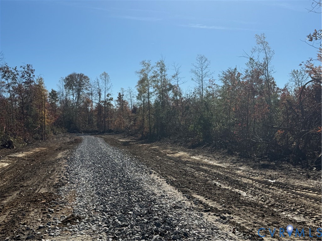 14955 Lebanon Road Spring Grove, VA 23881 - Photo 2 of 5 a view of a yard with trees in the background