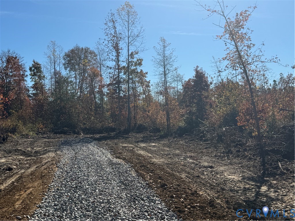 14955 Lebanon Road Spring Grove, VA 23881 - Photo 3 of 5 a view of a yard with trees