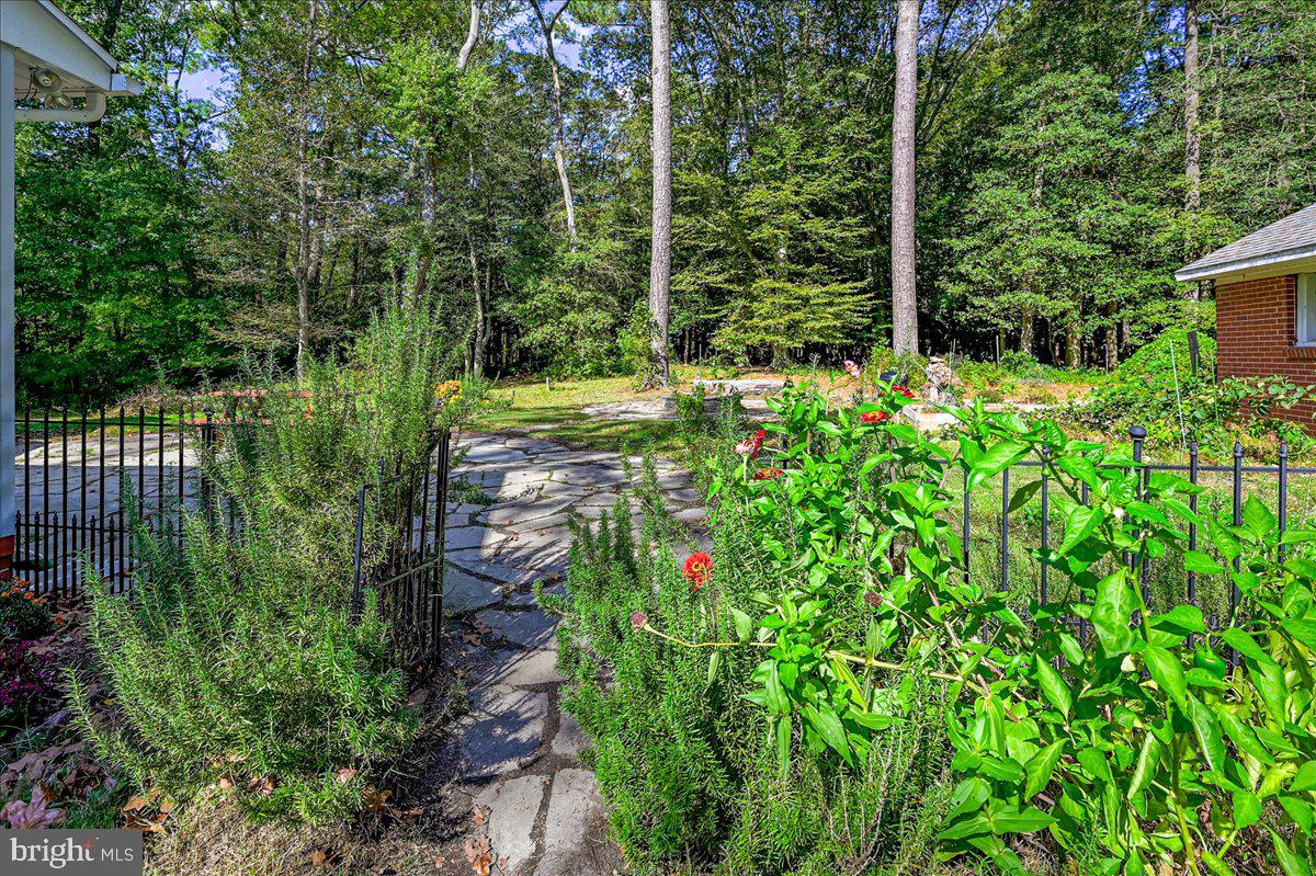 27046 Riverside Drive Salisbury, MD 21801 - Photo 44 of 78 Gallery Image 44
