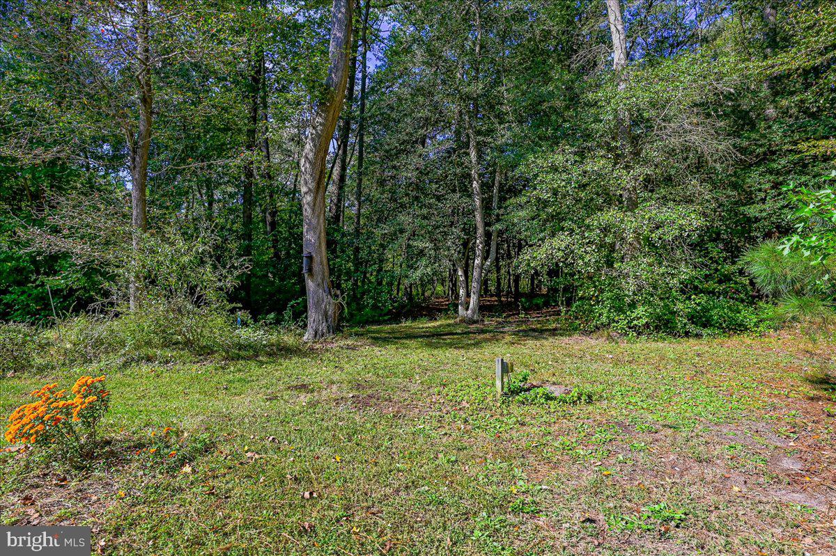 27046 Riverside Drive Salisbury, MD 21801 - Photo 50 of 78 Gallery Image 50