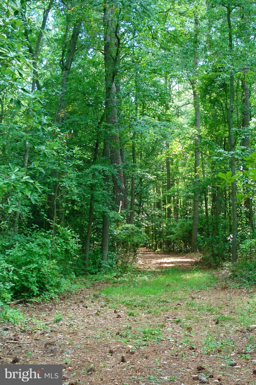 27046 Riverside Drive Salisbury, MD 21801 - Photo 51 of 78 Gallery Image 51