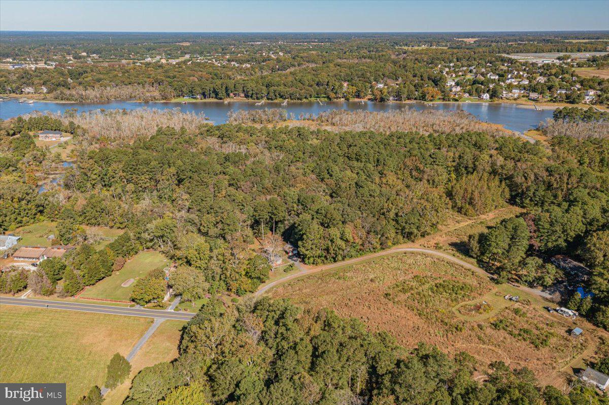 27046 Riverside Drive Salisbury, MD 21801 - Photo 66 of 78 Gallery Image 66