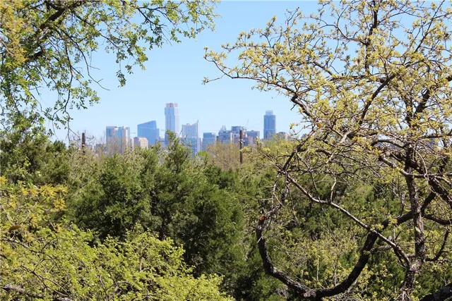 a view of a city with lush green forest