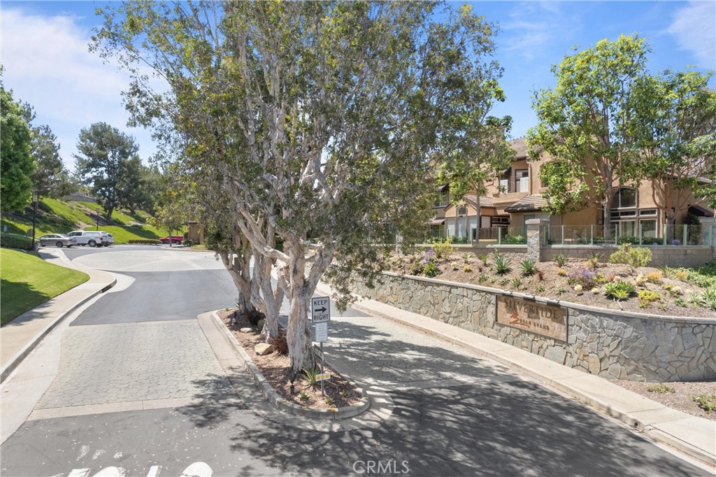 26 Sunbridge Place Dana Point, CA 92629 - Photo 28 of 39 a view of a yard with plants and trees