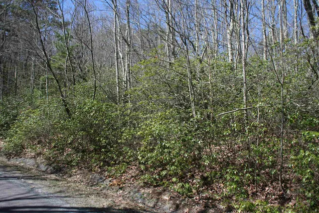 a view of a yard with plants and wooden fence