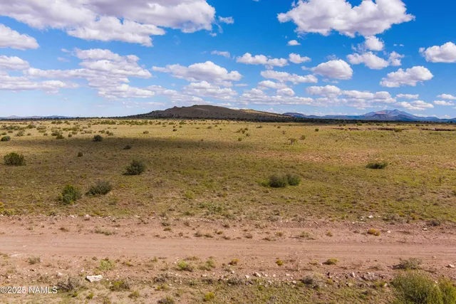 a view of a brick wall with an ocean view