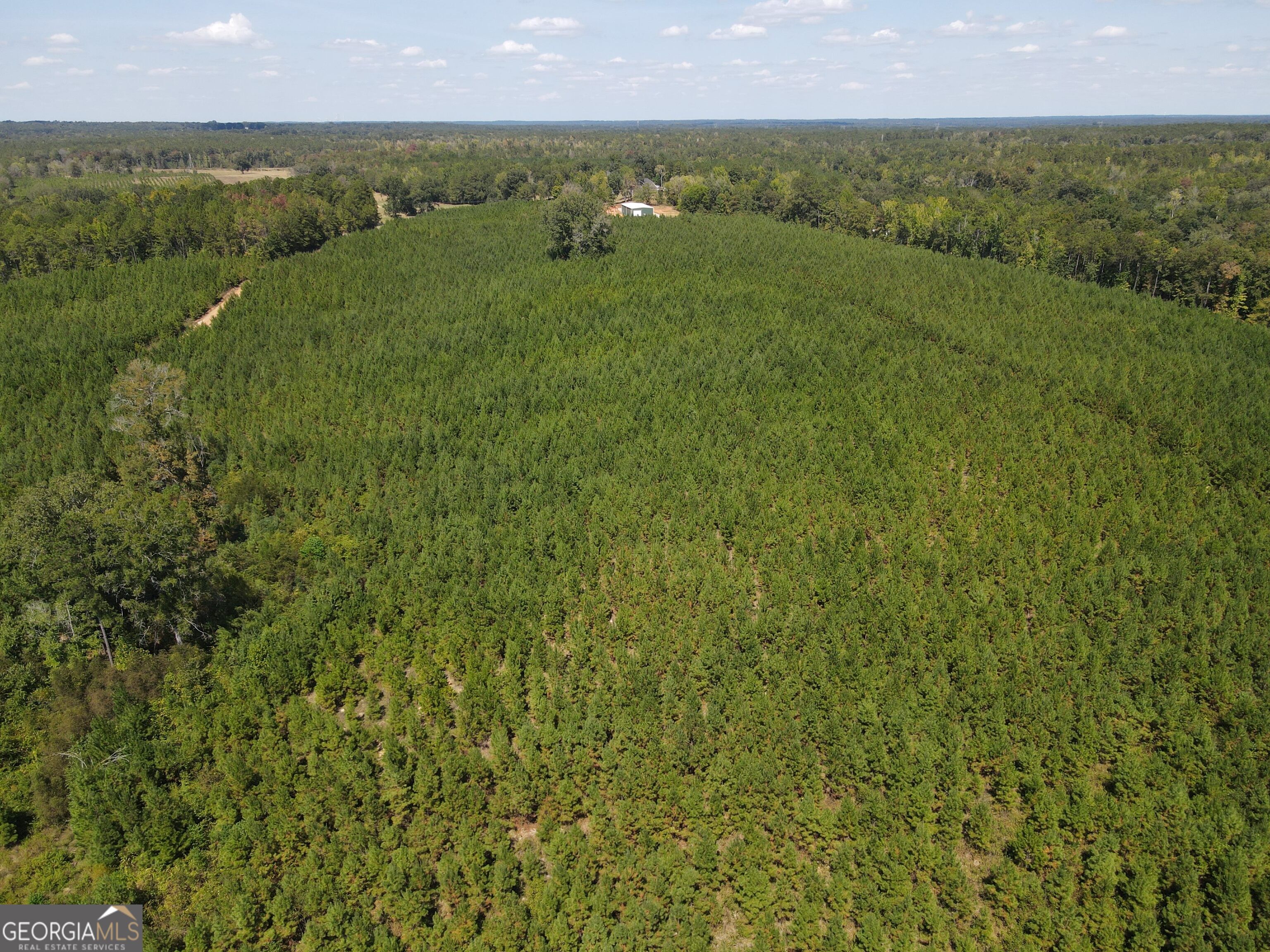 9390 Hopewell Road Lizella, GA 31052 - Photo 7 of 32 Gallery Image 7