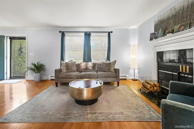a living room with furniture and a potted plant