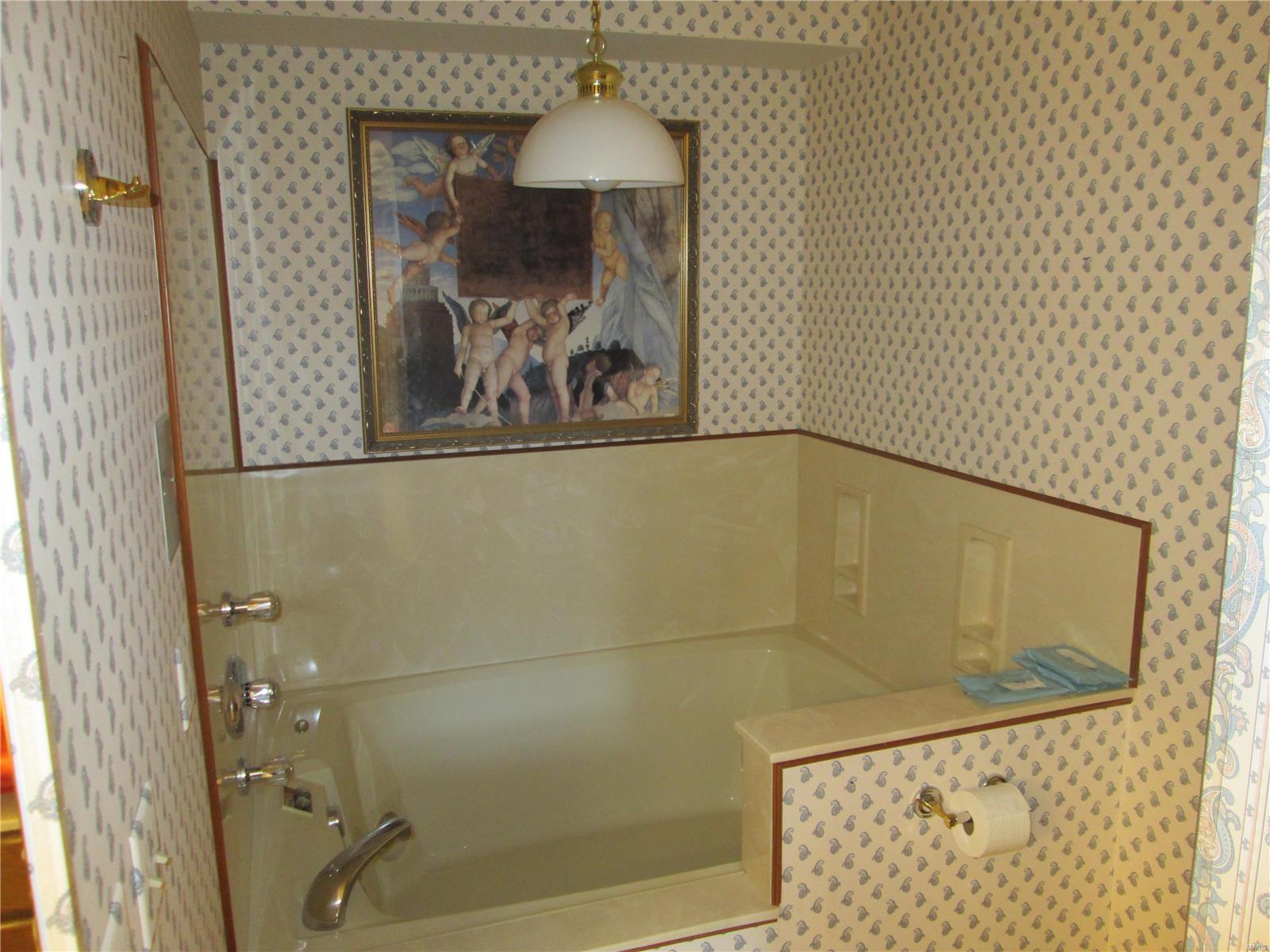 5247 Kerth Road St. Louis, MO 63128 - Photo 37 of 50 Gallery Image 37