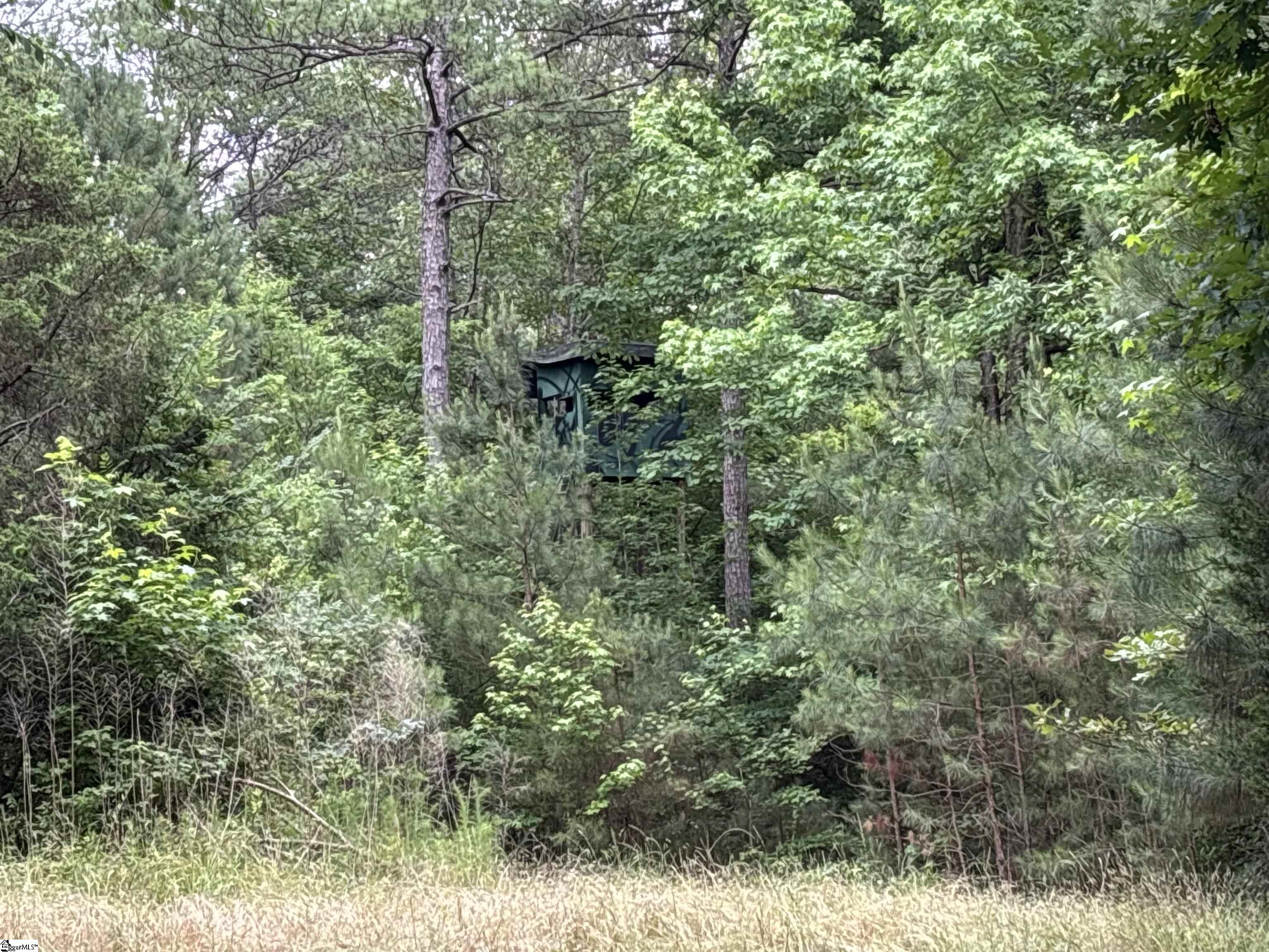 1087 Bobby Faucette Road Jonesville, SC 29353 - Photo 26 of 47