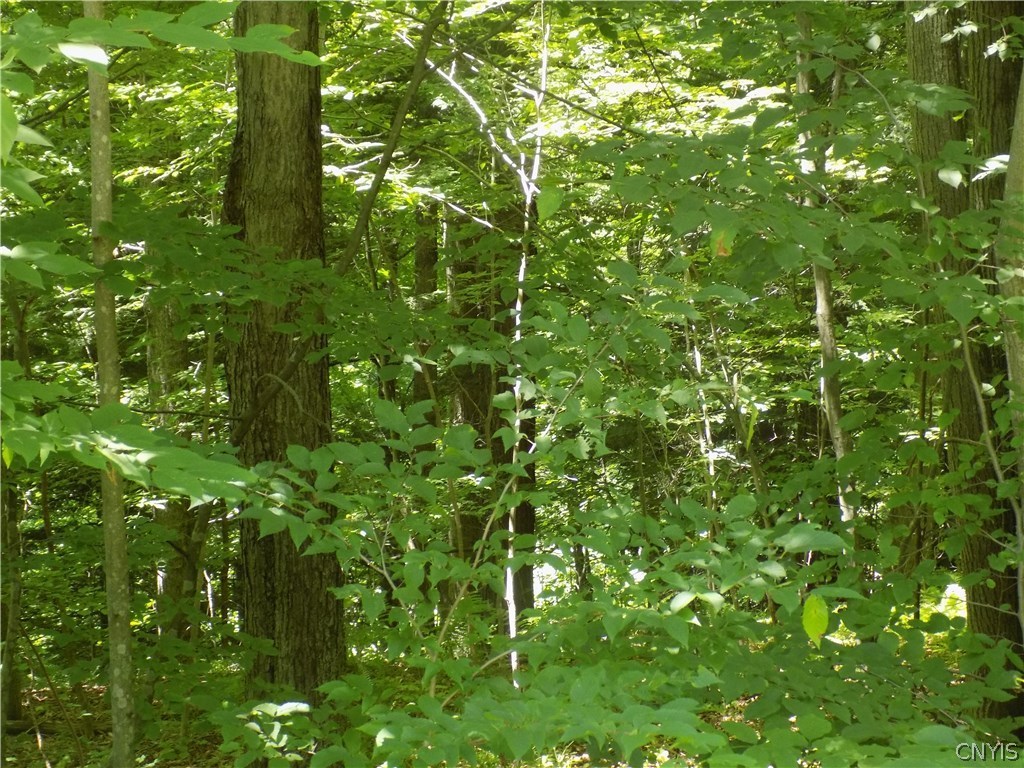 7760 Ny Route 79 Road Whitney Point, NY 13862 - Photo 5 of 23