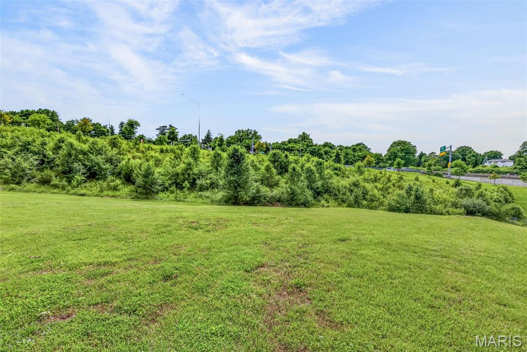 36 Firefly Court Manchester, MO 63021 - Photo 4 of 21