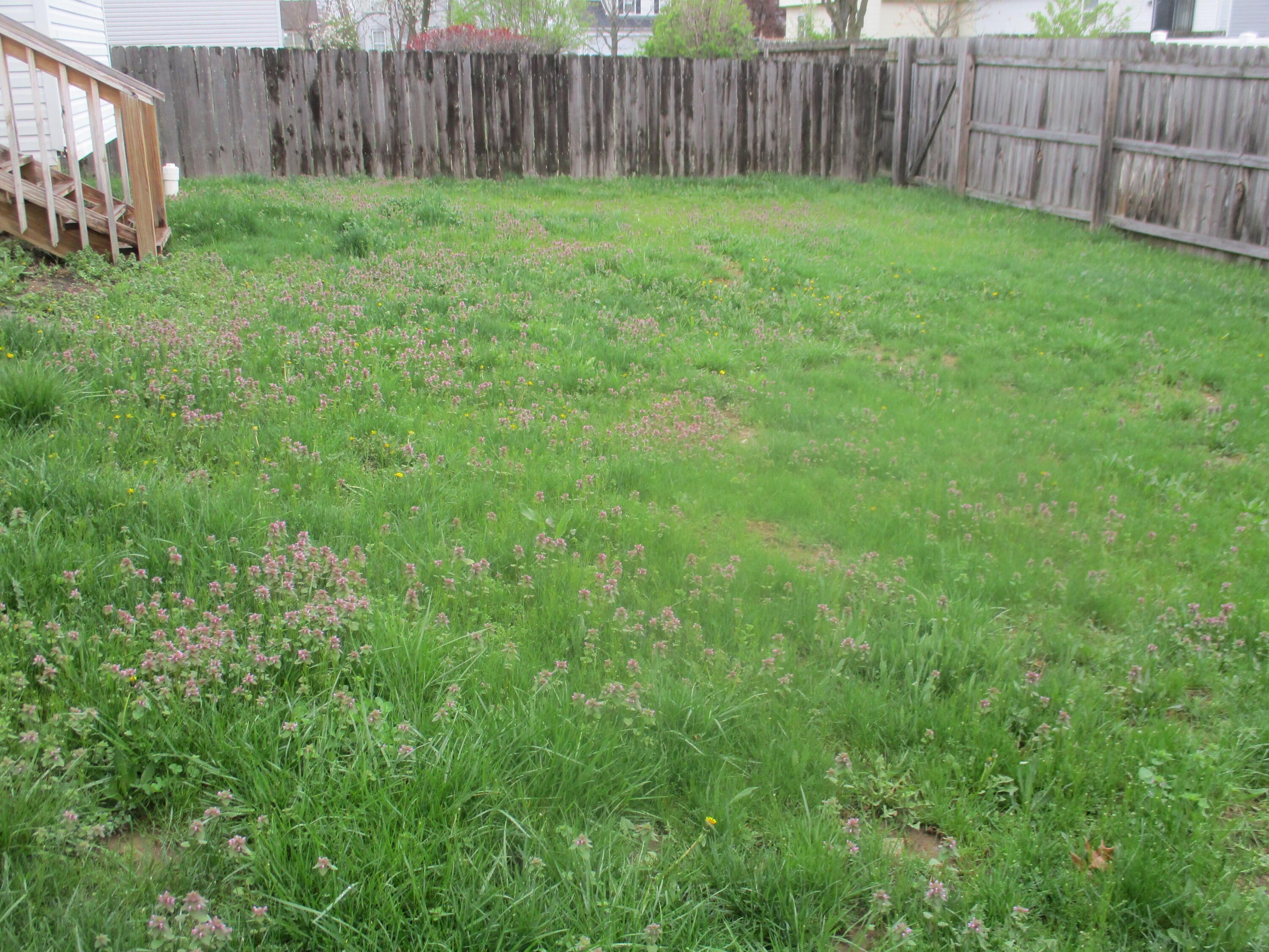 2944 Tracer Road Columbus, OH 43232 - Photo 16 of 16 IMG_2239