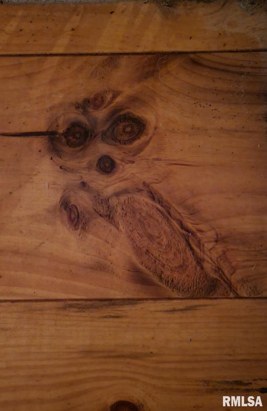 67 Dutchman Trail Ozark, IL 62972 - Photo 14 of 14