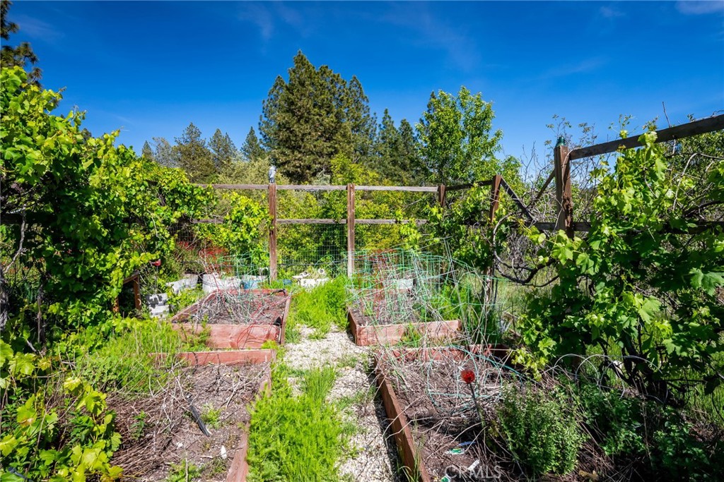 4620 Wendlis Road Forest Ranch, CA 95942 - Photo 40 of 50 a view of a garden