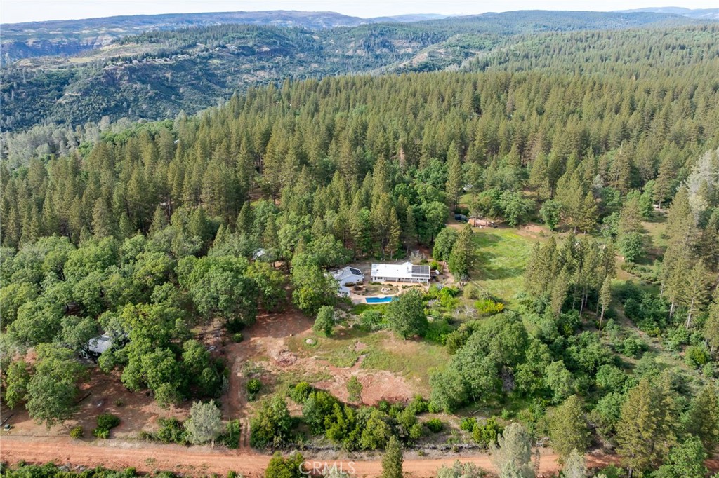 4620 Wendlis Road Forest Ranch, CA 95942 - Photo 46 of 50 a view of a lush green forest with trees and houses