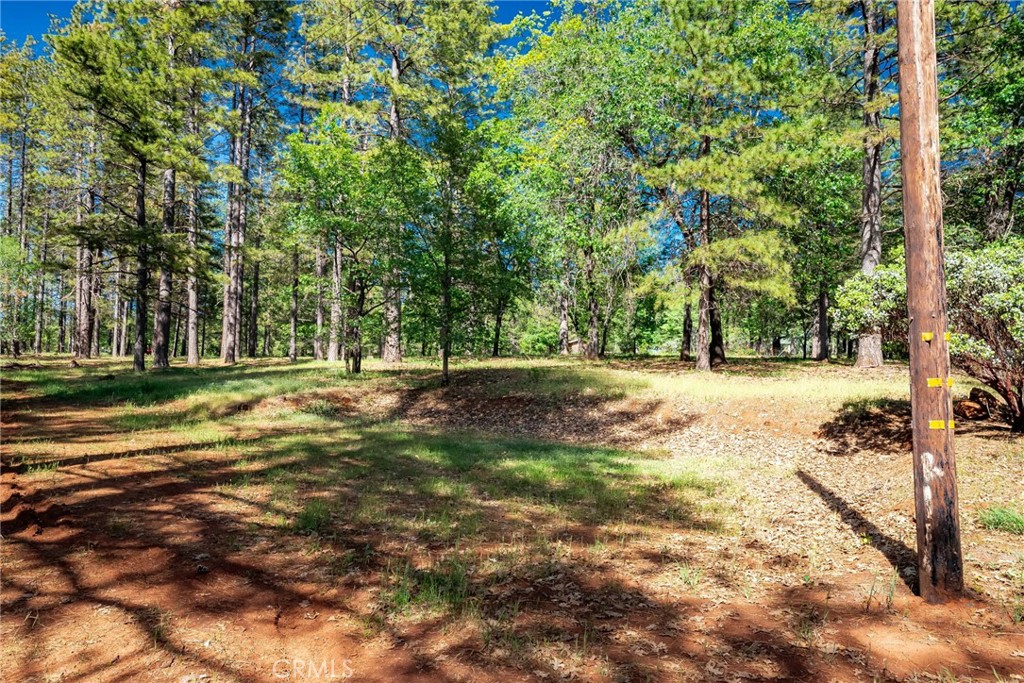4620 Wendlis Road Forest Ranch, CA 95942 - Photo 47 of 50 a view of outdoor space with trees all around