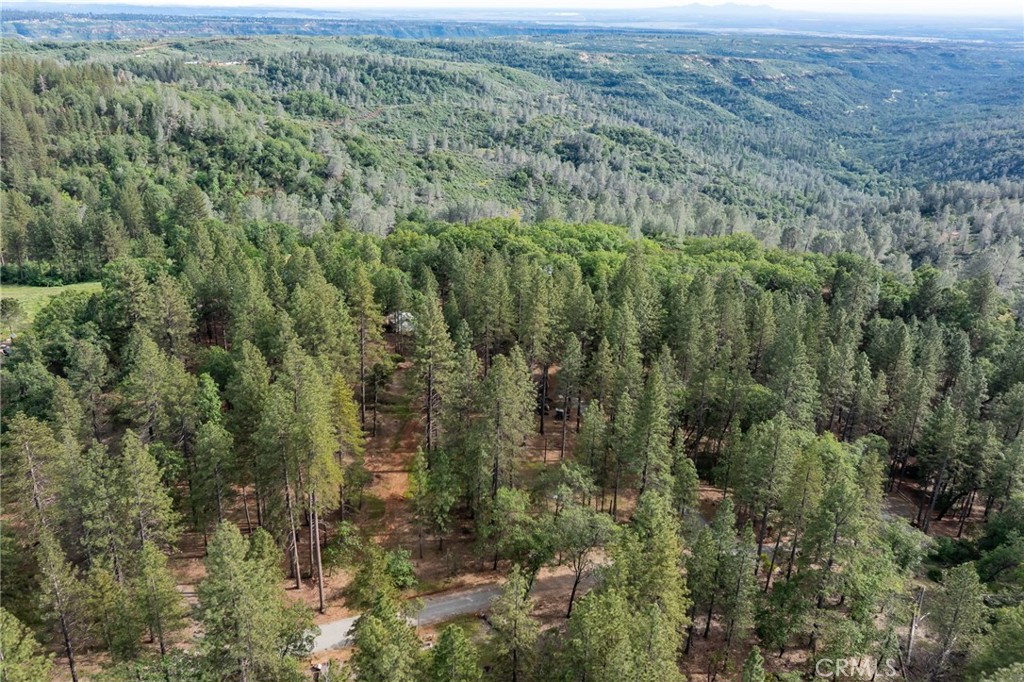 4620 Wendlis Road Forest Ranch, CA 95942 - Photo 50 of 50 a view of a forest with trees and houses