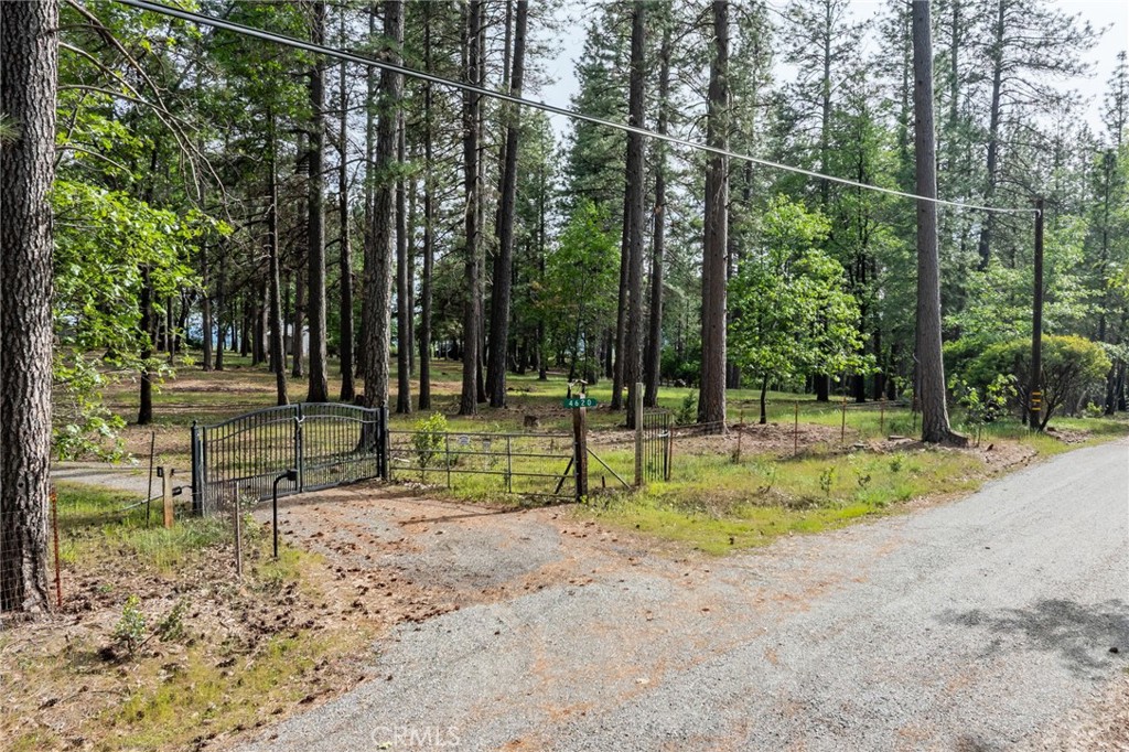 4620 Wendlis Road Forest Ranch, CA 95942 - Photo 7 of 50 a view of a park with large trees
