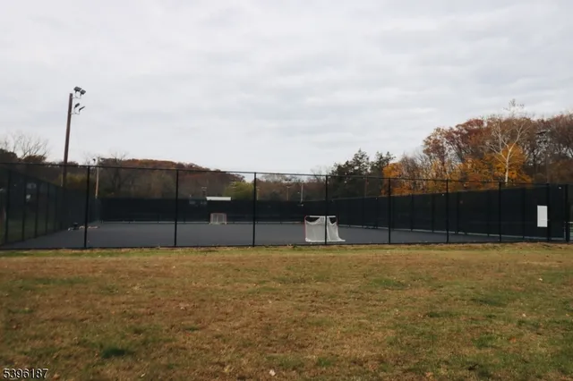 a view of a swimming pool with a yard