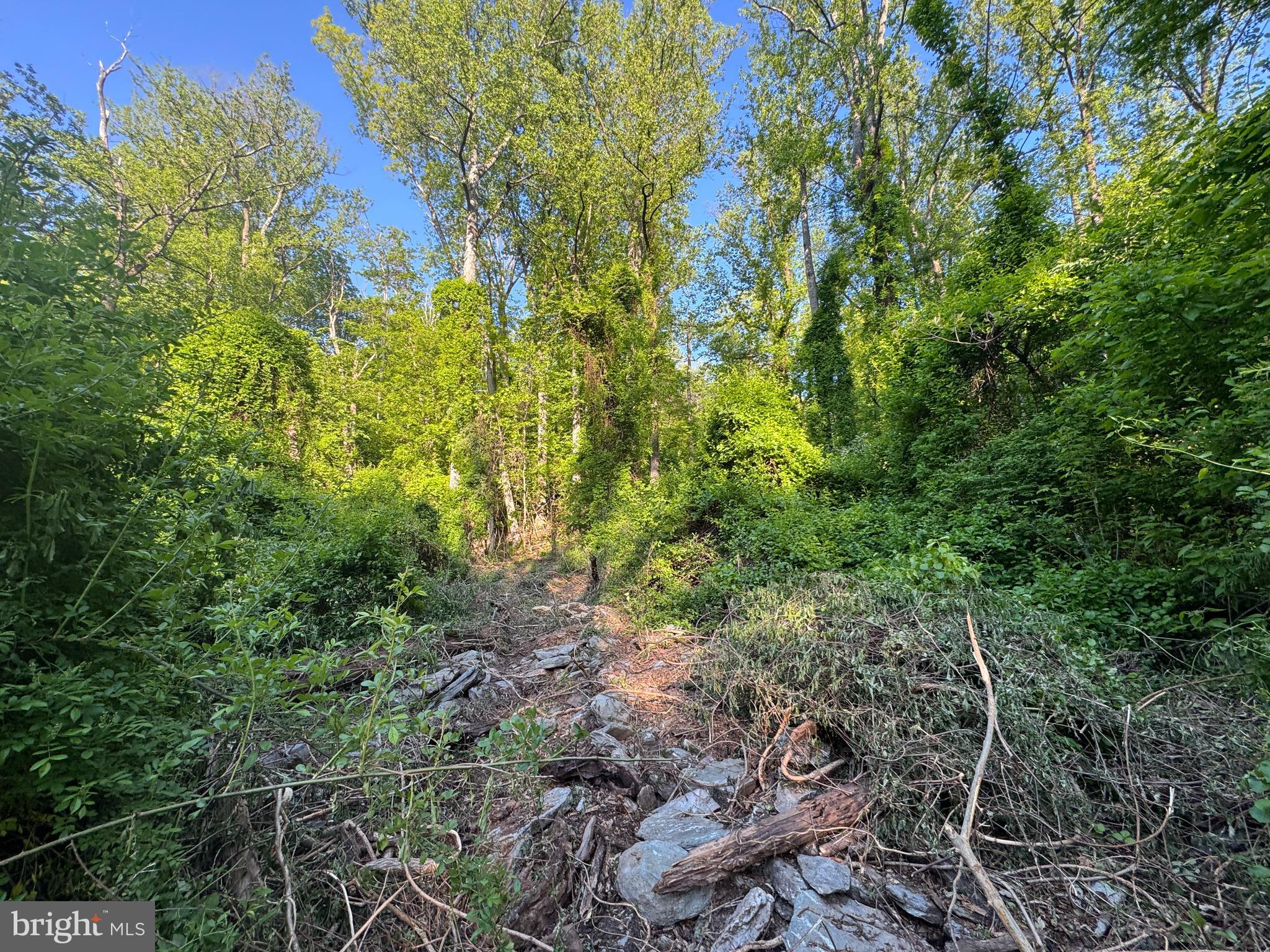 Edgemont Road Frederick, MD 21702 - Photo 4 of 6