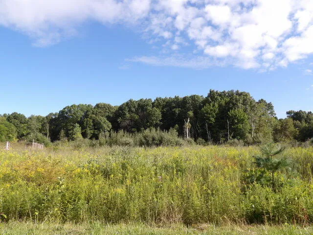 $230,000 | 2747 M Drive South, Athens, MI 49011