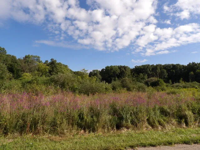 $230,000 | 2747 M Drive South, Athens, MI 49011