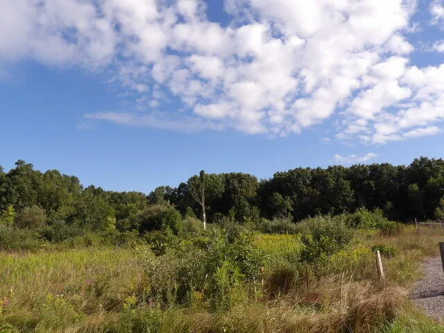 $230,000 | 2747 M Drive South, Athens, MI 49011