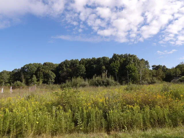 $230,000 | 2747 M Drive South, Athens, MI 49011