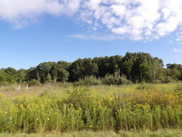 $230,000 | 2747 M Drive South, Athens, MI 49011