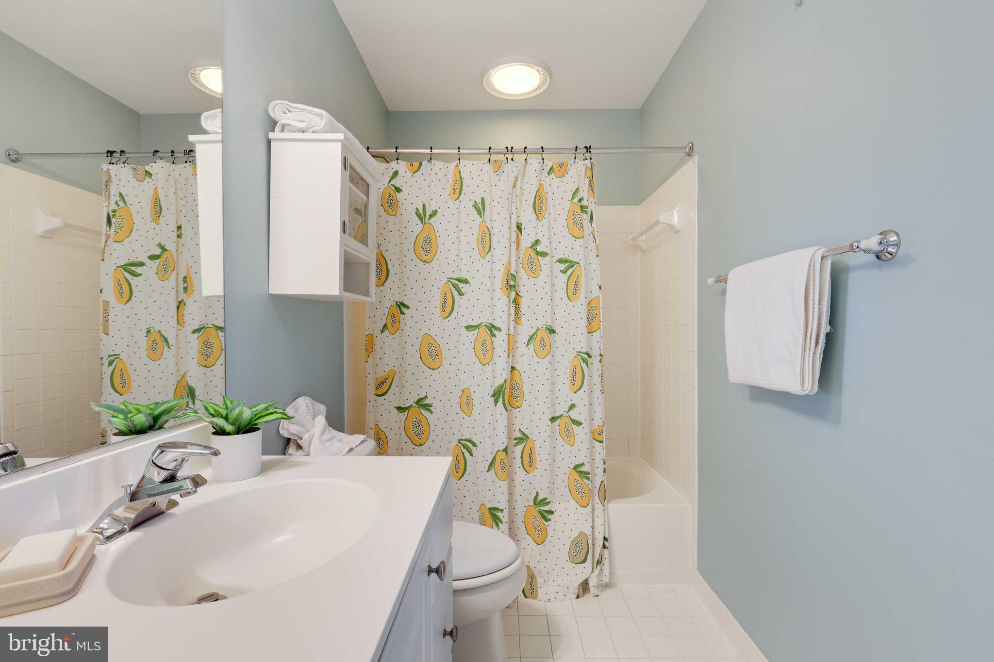 101 Colony Crossing Edgewater, MD 21037 - Photo 86 of 128 Gallery Image 86
