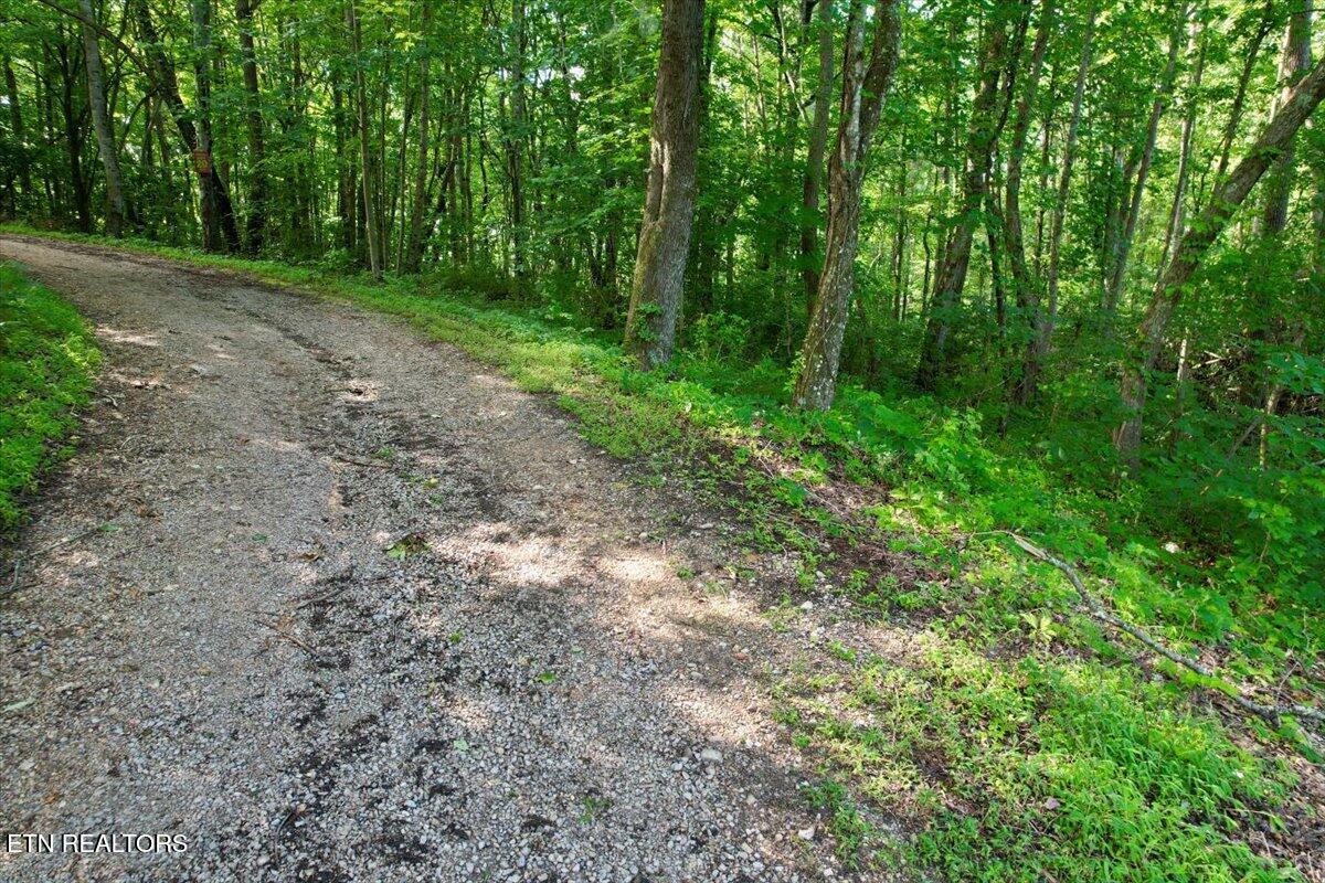 Tbd Barker Road New Tazewell, TN 37825 - Photo 15 of 43 01-DJI_0749