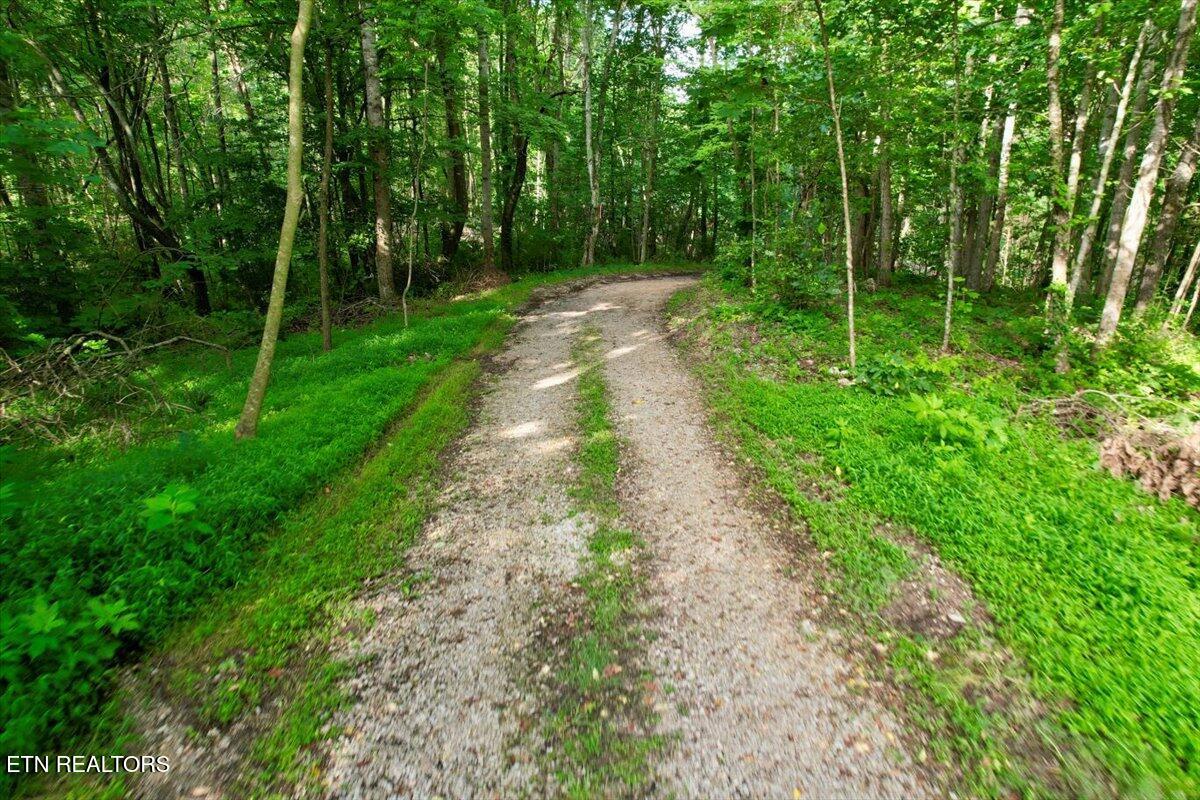 Tbd Barker Road New Tazewell, TN 37825 - Photo 17 of 43 03-DJI_0746