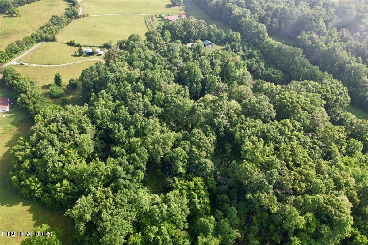 Tbd Barker Road New Tazewell, TN 37825 - Photo 21 of 43 07-DJI_0736