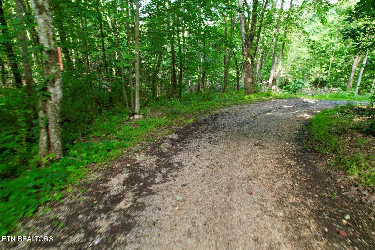 Tbd Barker Road New Tazewell, TN 37825 - Photo 23 of 43 09-DJI_0748