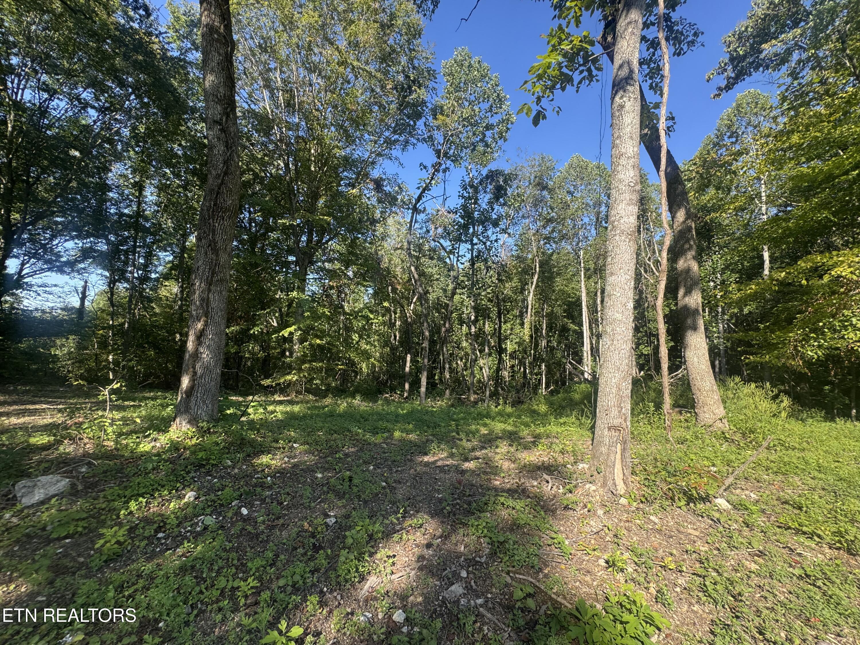 Tbd Barker Road New Tazewell, TN 37825 - Photo 3 of 43 EA4D0E55-F4C5-4655-9FE1-613AA3189315